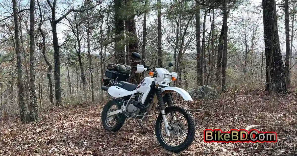 Motorcycling In Bangladesh