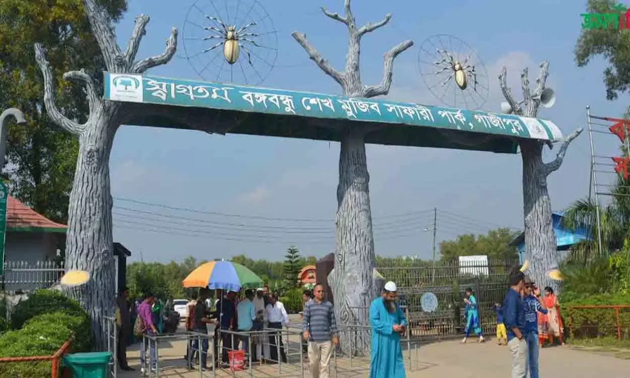 বঙ্গবন্ধু সাফারি পার্ক