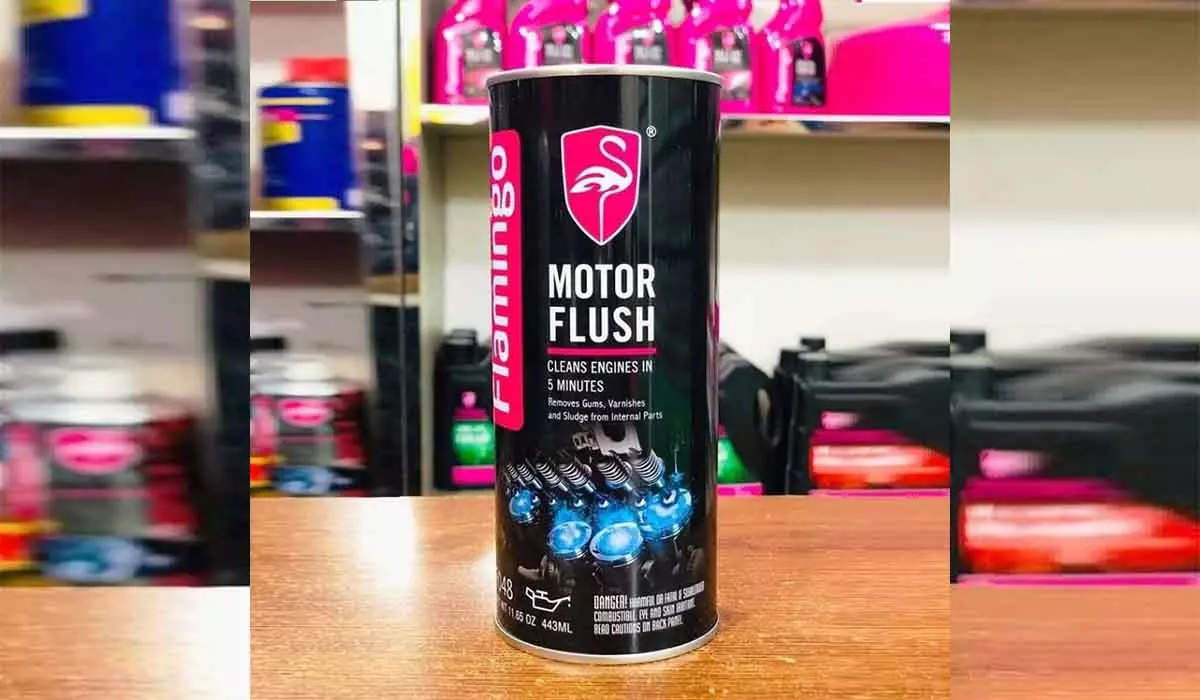 Flamingo Motor Flush oil