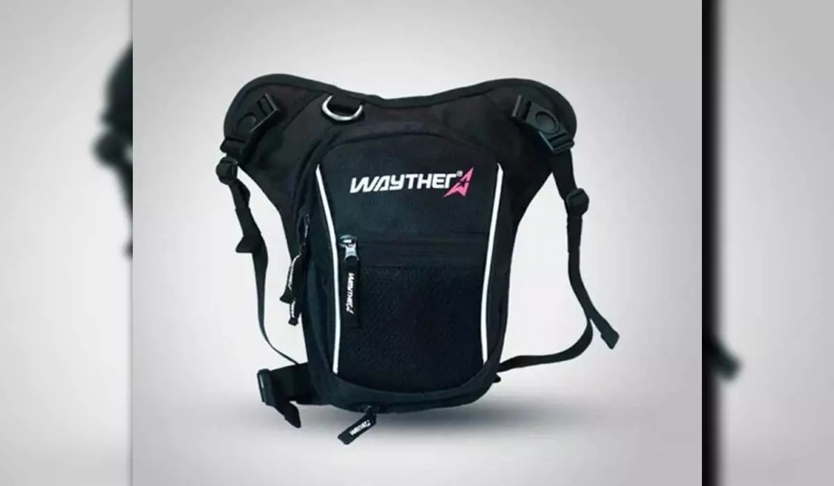 wayther-waist-leg-bag-price